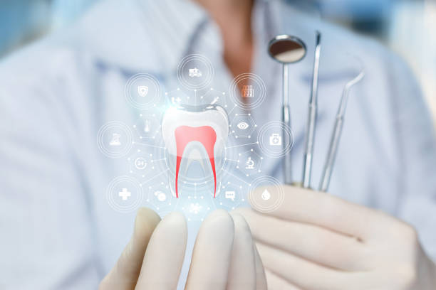 Reliable Avenel, NJ Holistic Dental Care Services Solutions